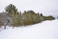 Undeveloped Land for sale in Hubbard County, Minnesota