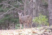 Undeveloped Land for sale in Siskiyou County, California