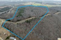 Undeveloped Land for sale in Metcalfe County, Kentucky