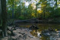 Undeveloped Land for sale in Hardin County, Texas