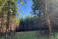 Undeveloped Land for sale in Grays Harbor County, Washington