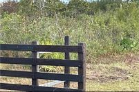 Undeveloped Land for sale in Ware County, Georgia