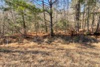 Undeveloped Land for sale in Warren County, Georgia