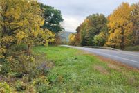 Undeveloped Land for sale in Ontario County, New York