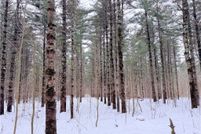 Undeveloped Land for sale in Washburn County, Wisconsin