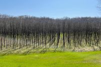 Lakefront Property for sale in Ohio County, Indiana