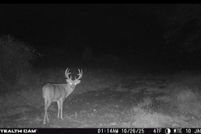 Undeveloped Land for sale in Jackson County, Indiana