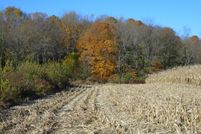 Undeveloped Land for sale in Rush County, Indiana