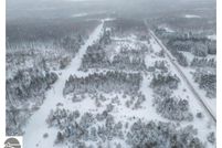 Undeveloped Land for sale in Benzie County, Michigan