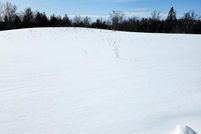 Farm Property for sale in Cheboygan County, Michigan