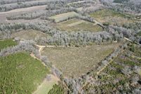 Timberland Property for sale in Wilcox County, Alabama