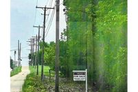 Undeveloped Land for sale in Washtenaw County, Michigan
