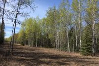 Ranch Property for sale in Southeast Fairbanks Borough, Alaska