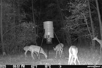 Ranch Property for sale in Polk County, Texas