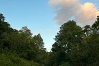 Undeveloped Land for sale in Lawrence County, Kentucky