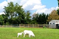 Farm Property for sale in Shenandoah County, Virginia