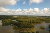 Timberland Property for sale in Trinity County, Texas