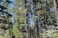 Farm Property for sale in Trinity County, California