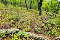 Ranch Property for sale in Grainger County, Tennessee