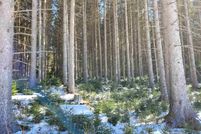Farm Property for sale in Caledonia County, Vermont