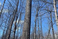Ranch Property for sale in Ontonagon County, Michigan