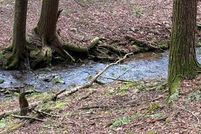 Ranch Property for sale in Potter County, Pennsylvania