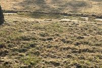 Farm Property for sale in Sioux County, Iowa