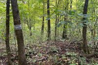 Ranch Property for sale in Madison County, Arkansas