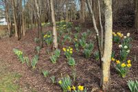 Recreational Property for sale in Albemarle County, Virginia