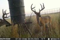 Farm Property for sale in Hall County, Texas