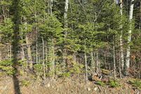 Timberland Property for sale in Coos County, New Hampshire