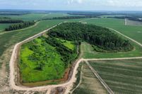 Farm Property for sale in Carroll County, Mississippi
