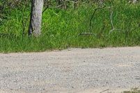 Farm Property for sale in Alpena County, Michigan