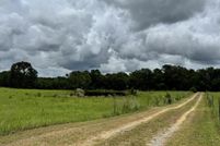 Timberland Property for sale in Covington County, Alabama