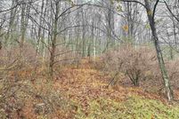 Farm Property for sale in Lewis County, West Virginia