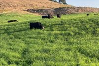 Timberland Property for sale in Nez Perce County, Idaho
