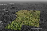 Timberland Property for sale in Walker County, Alabama