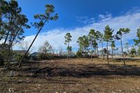 Farm Property for sale in Gulf County, Florida