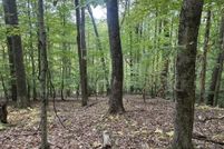 Farm Property for sale in Randolph County, West Virginia
