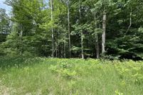Undeveloped Land for sale in Osceola County, Michigan