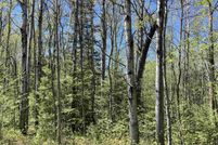 Recreational Property for sale in Oscoda County, Michigan