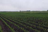 Residential Property for sale in Cottonwood County, Minnesota