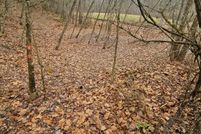 Timberland Property for sale in Braxton County, West Virginia