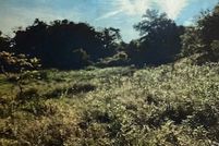 Farm Property for sale in New Haven County, Connecticut