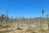 Farm Property for sale in Vilas County, Wisconsin