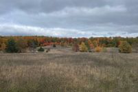 Recreational Property for sale in Cheboygan County, Michigan