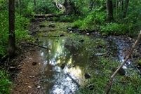 Farm Property for sale in Iron County, Missouri