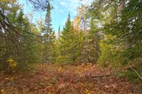 Farm Property for sale in Chippewa County, Michigan