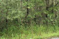 Timberland Property for sale in Alachua County, Florida