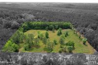 Timberland Property for sale in McIntosh County, Georgia